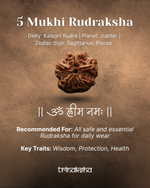 Load image into Gallery viewer, Brown five-faced Rudraksha bead with textured surface and natural grooves, used for meditation and spiritual practices.