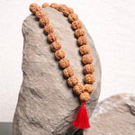 Load image into Gallery viewer, Brown seven Mukhi Rudraksha beads mala with textured beads and a red tassel draped over natural stone.