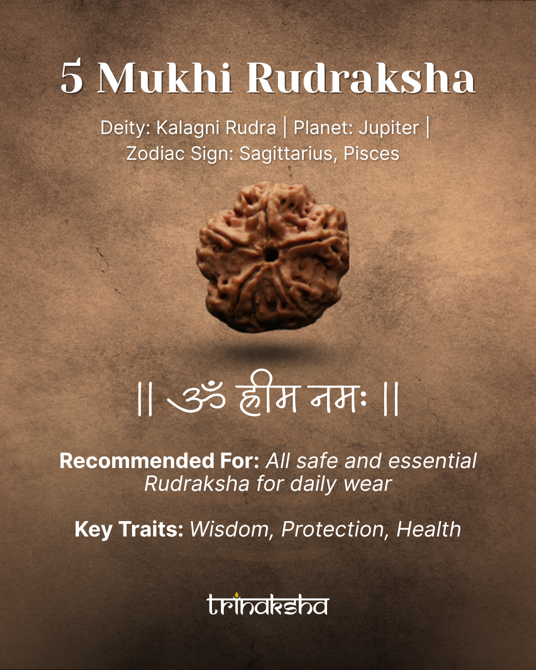 Brown five-faced Rudraksha bead with textured surface and natural grooves, used for meditation and spiritual practices.