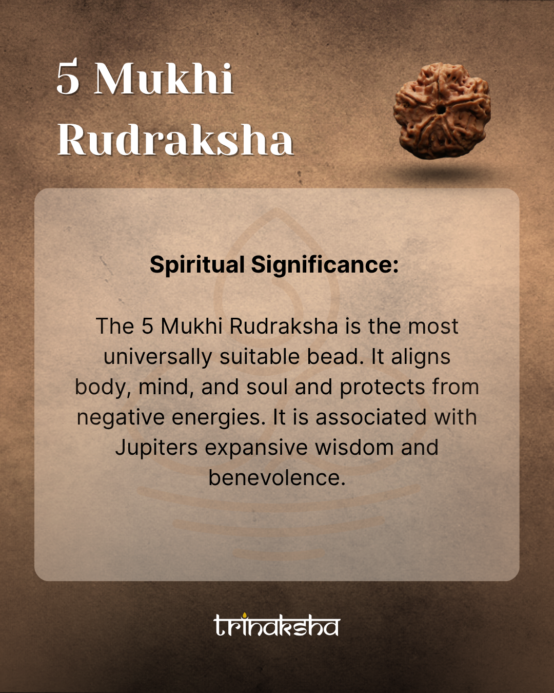 Brown five-faced Rudraksha bead with textured surface and natural grooves, used for meditation and spiritual purposes.