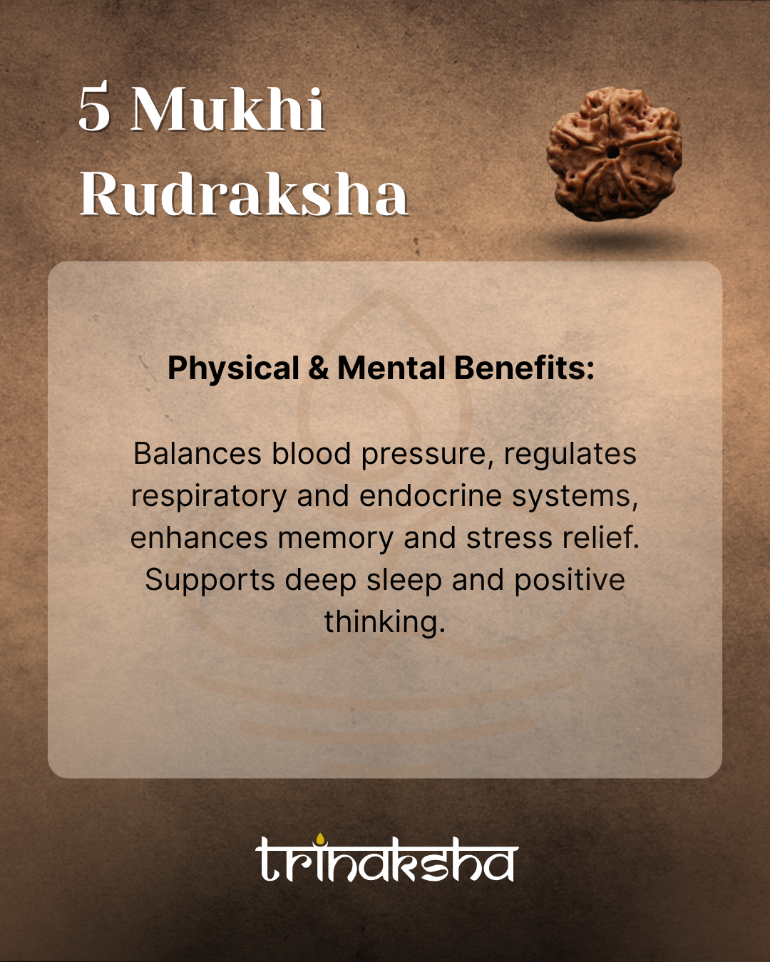 Brown, textured 5 Mukhi Rudraksha bead with natural grooves and detailed surface pattern.