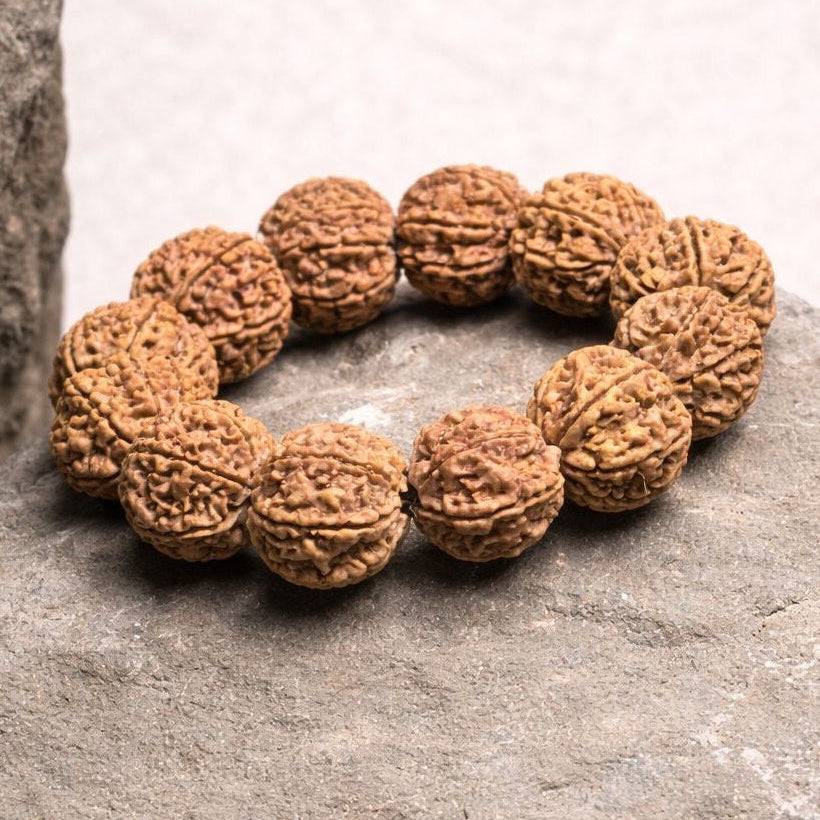Brown textured 7 mukhi rudraksha beads strung as a round meditation bracelet