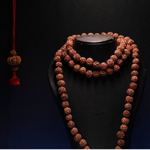 Rudrakesha mukhi mala with spherical beads draped on black bust, used for shiva meditation and astrology