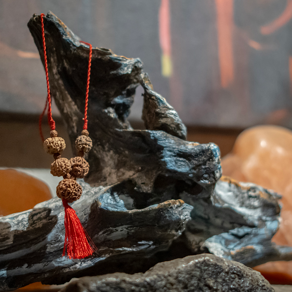 Rudrakesha mukhi mala with red tassel draped over textured dark wood for meditation and astrology practices