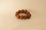 Load image into Gallery viewer, Brown 5 Mukhi Rudraksha beads bracelet with textured natural seed surface on a beige background.
