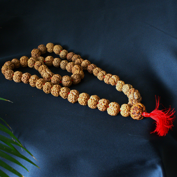 Rudrakesha japa mala with 27 textured mukhi beads and red tassel for shiva meditation and astrology rituals