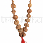 Load image into Gallery viewer, Natural brown rudraksha mala with large multi-faceted beads and a red tassel for meditation and astrology.
